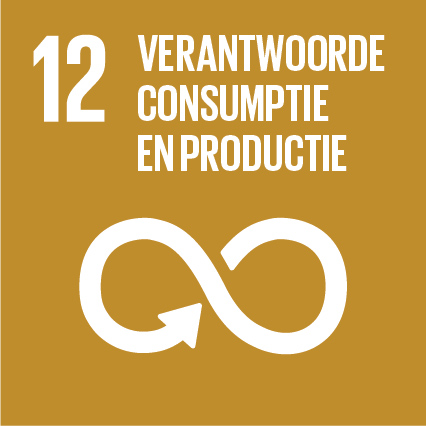 Global Goals - 12. Verantwoorde consumptie en productie
